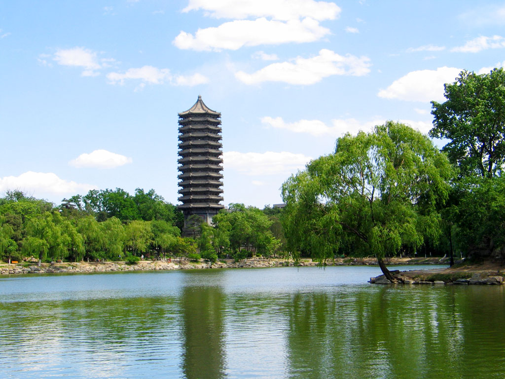 小伙在建筑工地上收到北大录取通知书:正在拌砂浆-Stars柳岸晚风