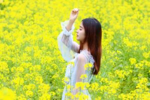 抱得春色归，不负人间好-Stars柳岸晚风