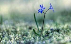 早安朋友圈，经典美文正能量分享句子-Stars柳岸晚风