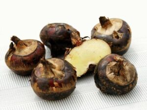 经常吃马蹄有什么好处？-Stars柳岸晚风