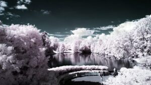 冬季必看的生活常用知识，很多人都不知道，看完收藏-Stars柳岸晚风