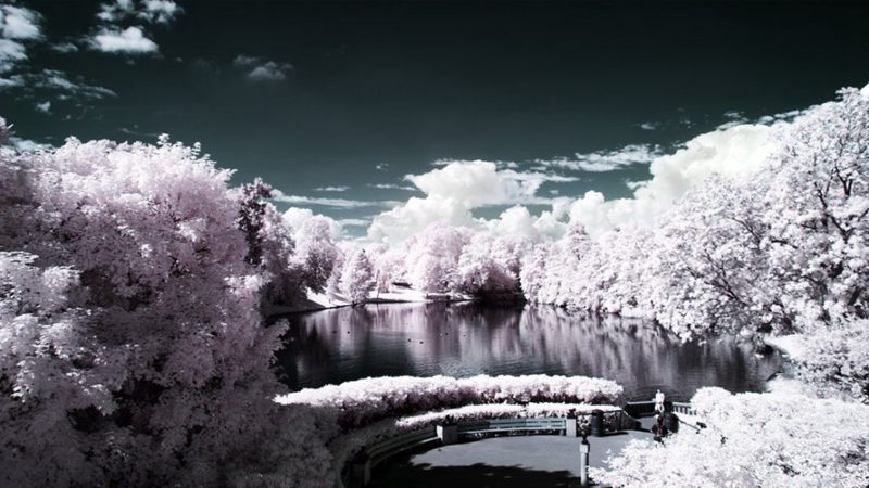 冬季必看的生活常用知识，很多人都不知道，看完收藏-Stars柳岸晚风