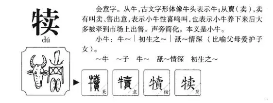 _舐犊情深的发音_舐犊情深的拼音怎么拼写