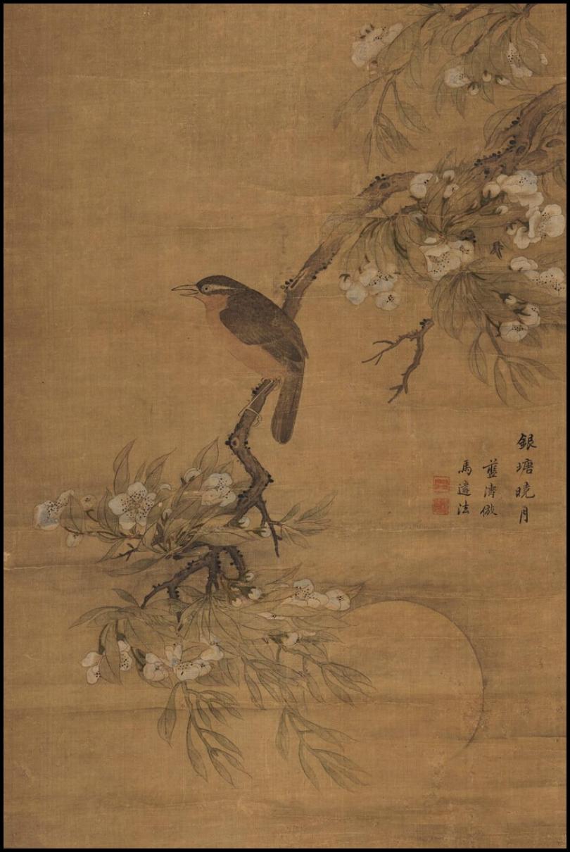 管好你的鸟_管好你的鸟_