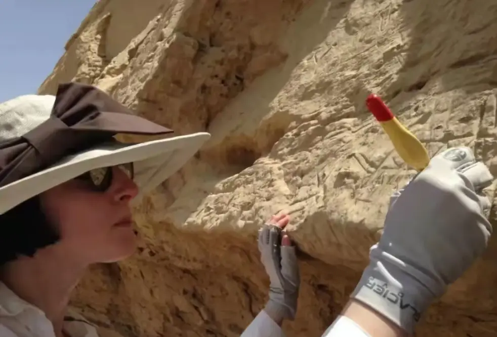 图片[5]-揭秘古埃及文字起源：5250年前的神秘刻符与西方考古发现-Stars柳岸晚风