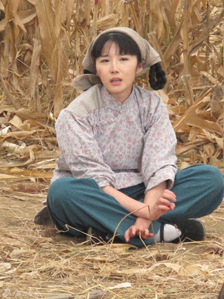 奶奶的乱世故事：从农村妇女到家族传奇的命运转折-Stars柳岸晚风