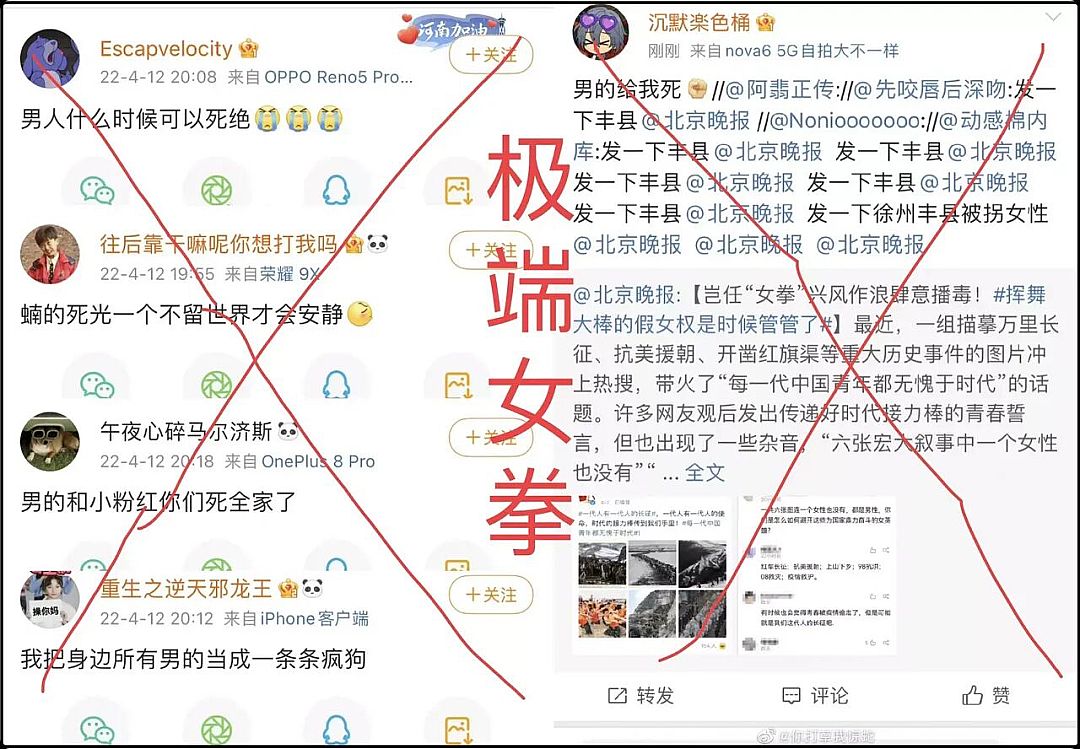 图片[6]-极端女权主义对现代社会的多维危害：失衡的抗争与重建之路-Stars柳岸晚风