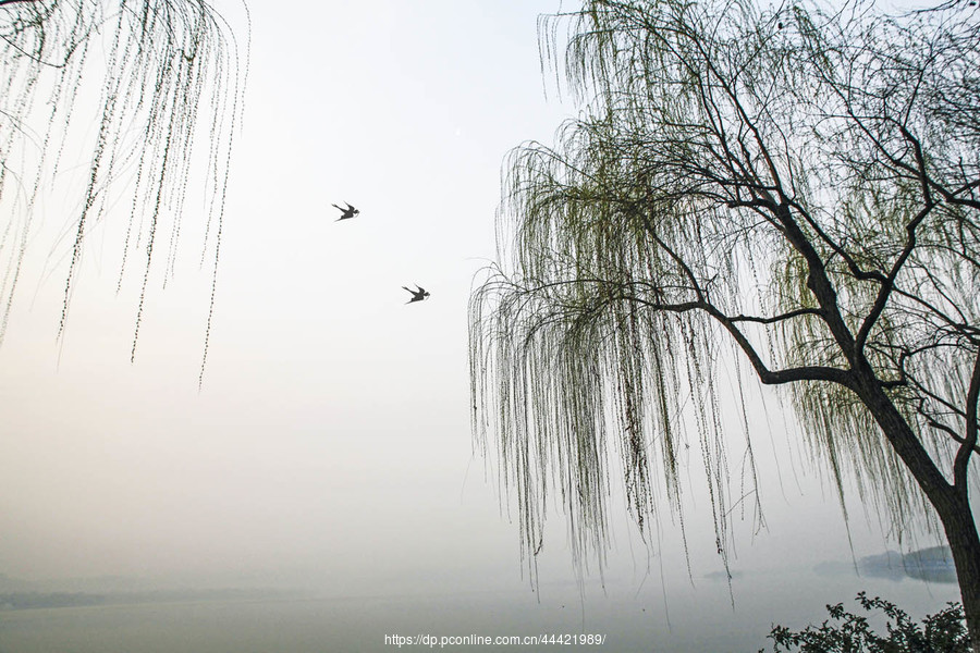 诗词里的三月-Stars柳岸晚风